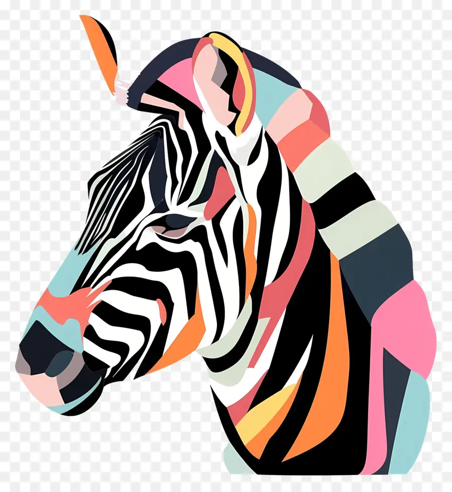 Zebra Kafası，Zebra PNG