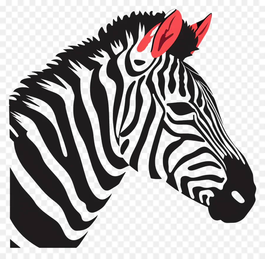 Zebra Kafası，Çizgili PNG