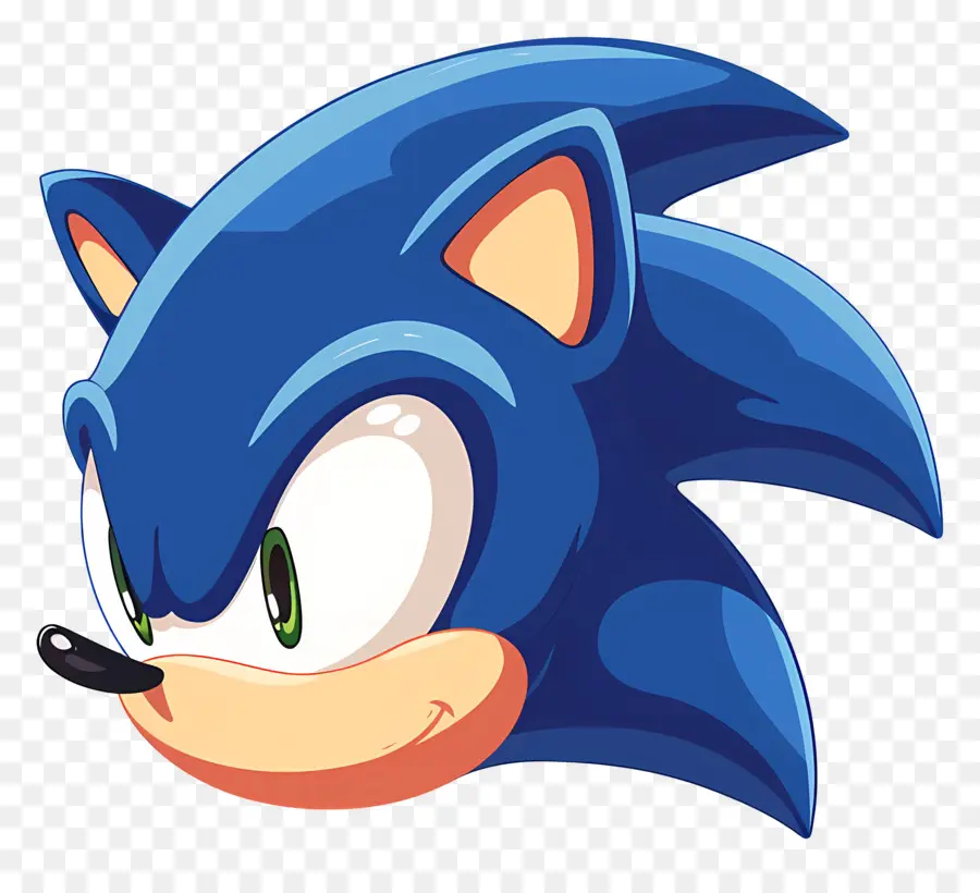 Sonic Kafa，Sonic PNG