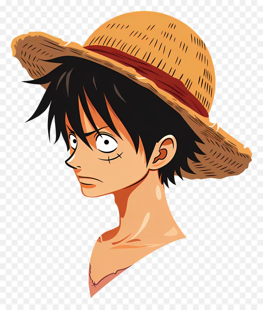 Luffy'nin Kafası，Anime Karakteri PNG