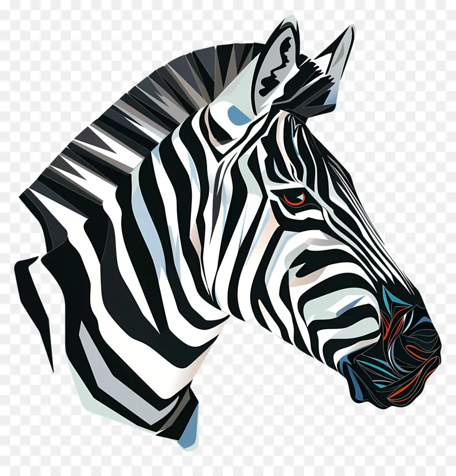 Zebra Kafa，Zebra PNG