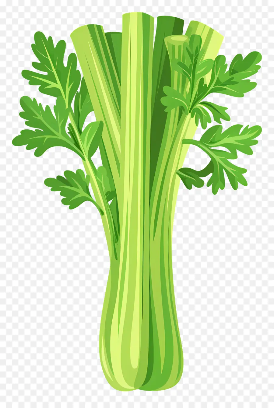 Kereviz，Yeşil Beanstalk PNG