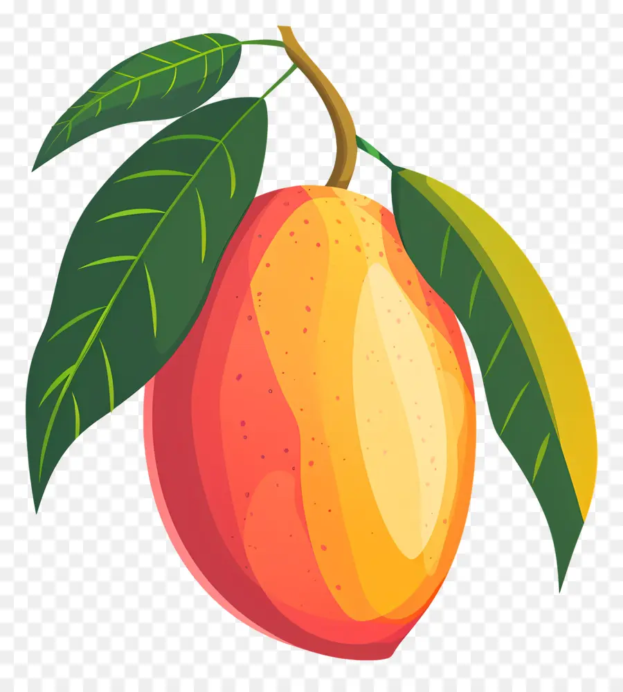 Mango，Yaprak PNG