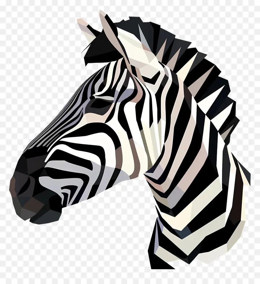 Zebra Kafa，Zebra PNG