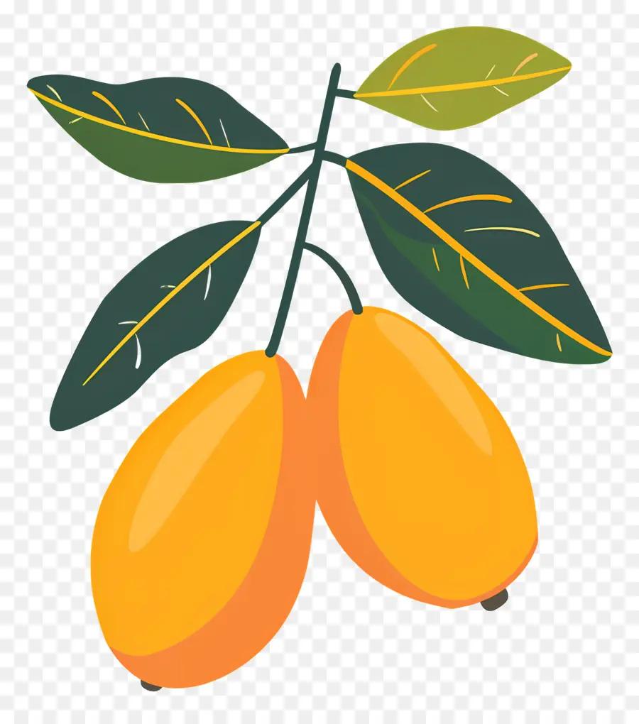 Mango，Narenciye PNG