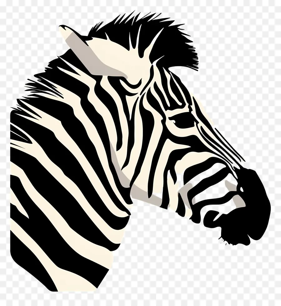 Zebra Kafası，Zebra PNG