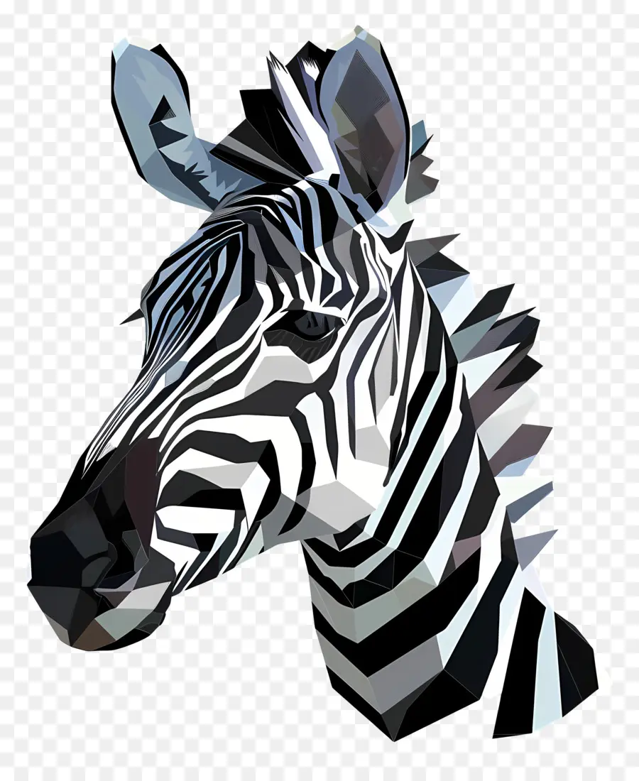 Zebra Kafa，Zebra PNG