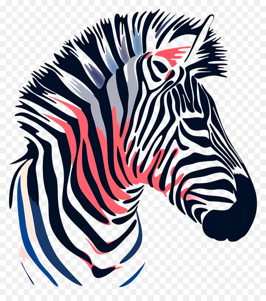 Zebra Kafası，Zebra PNG