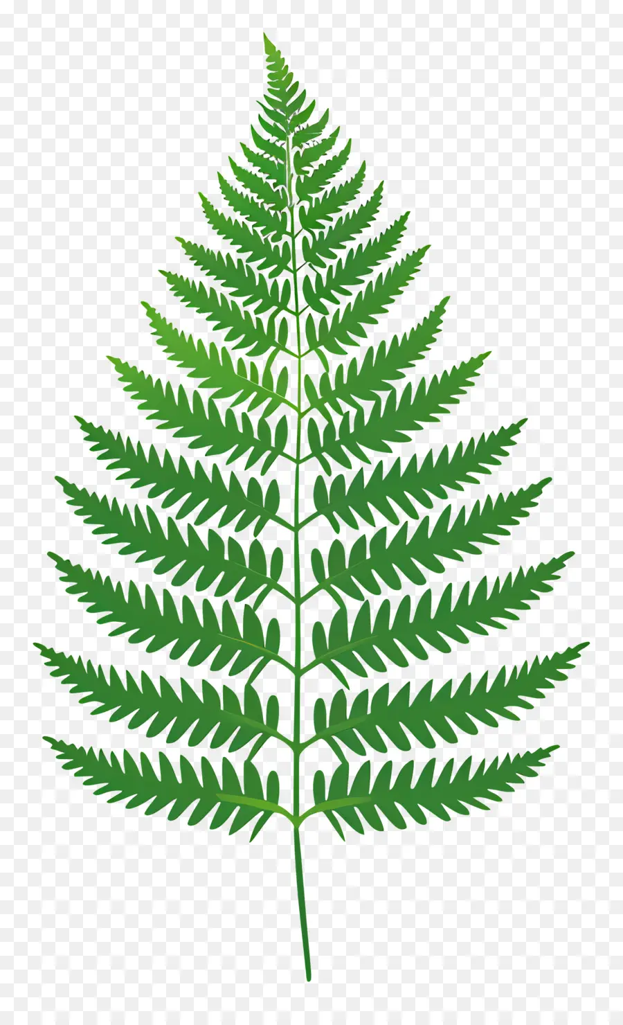 Fern Yaprak，Eğreltiotu PNG