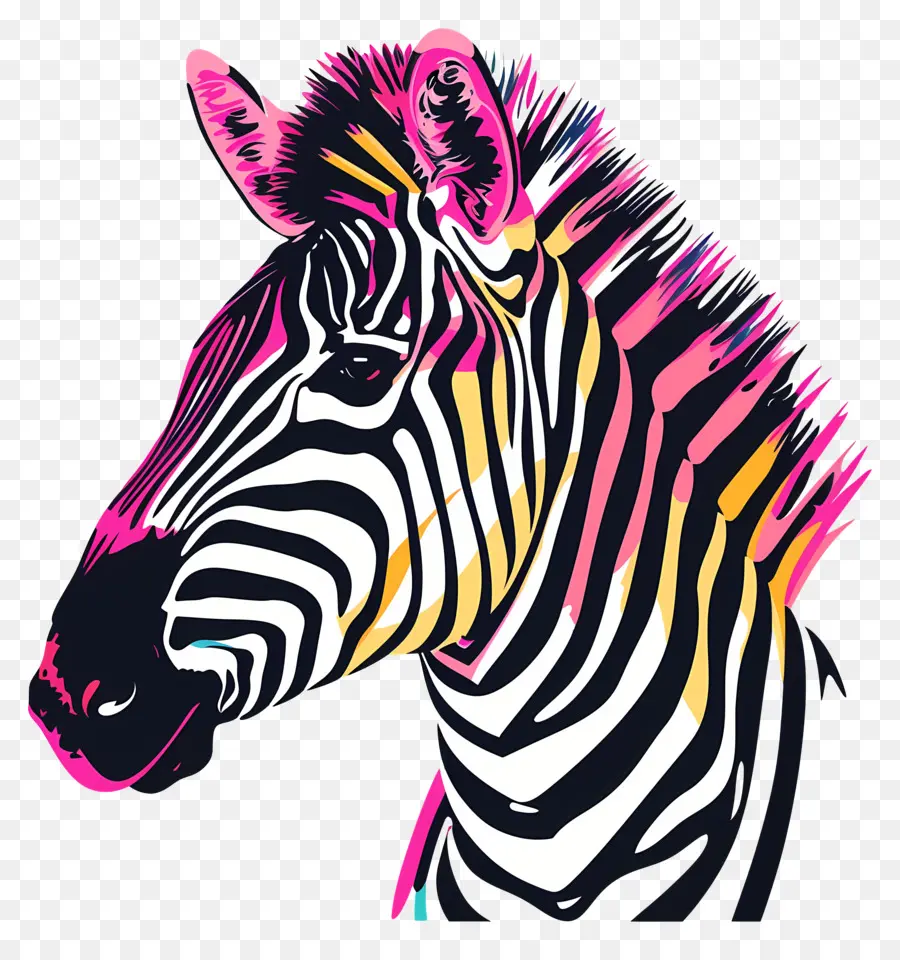 Zebra Kafa，Zebra PNG