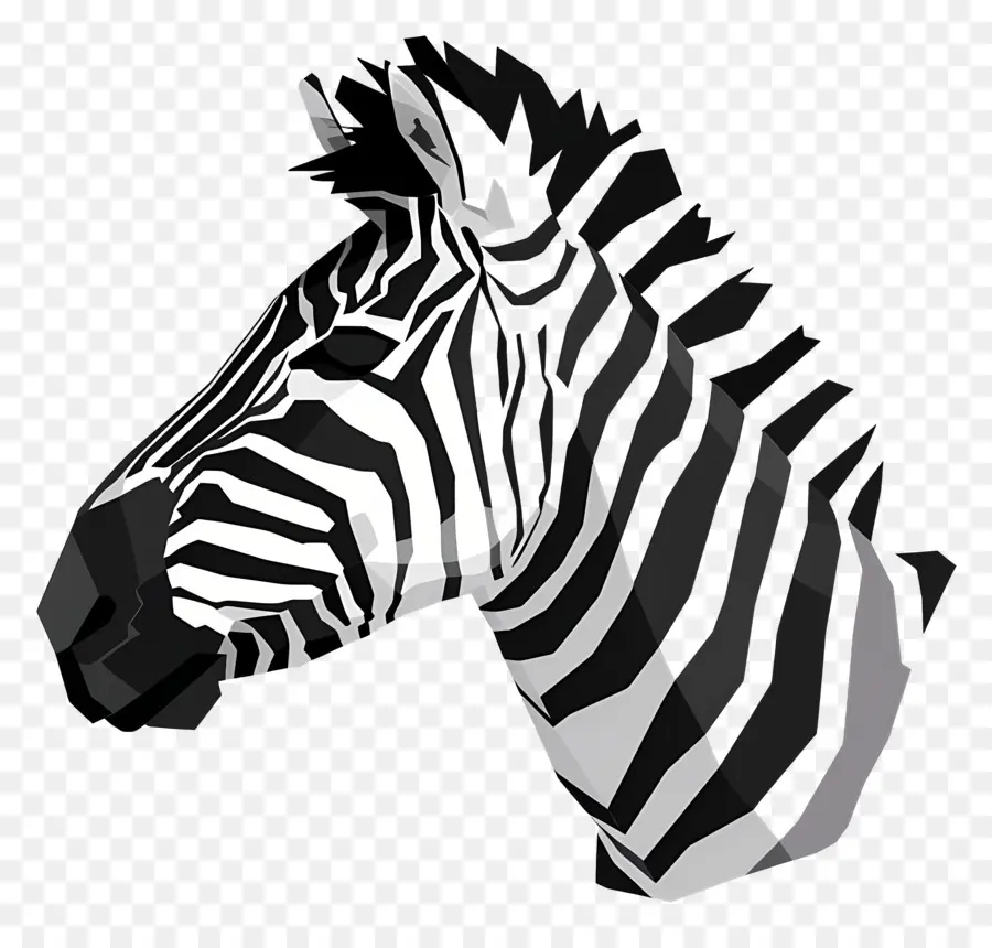 Zebra Kafa，Zebra PNG