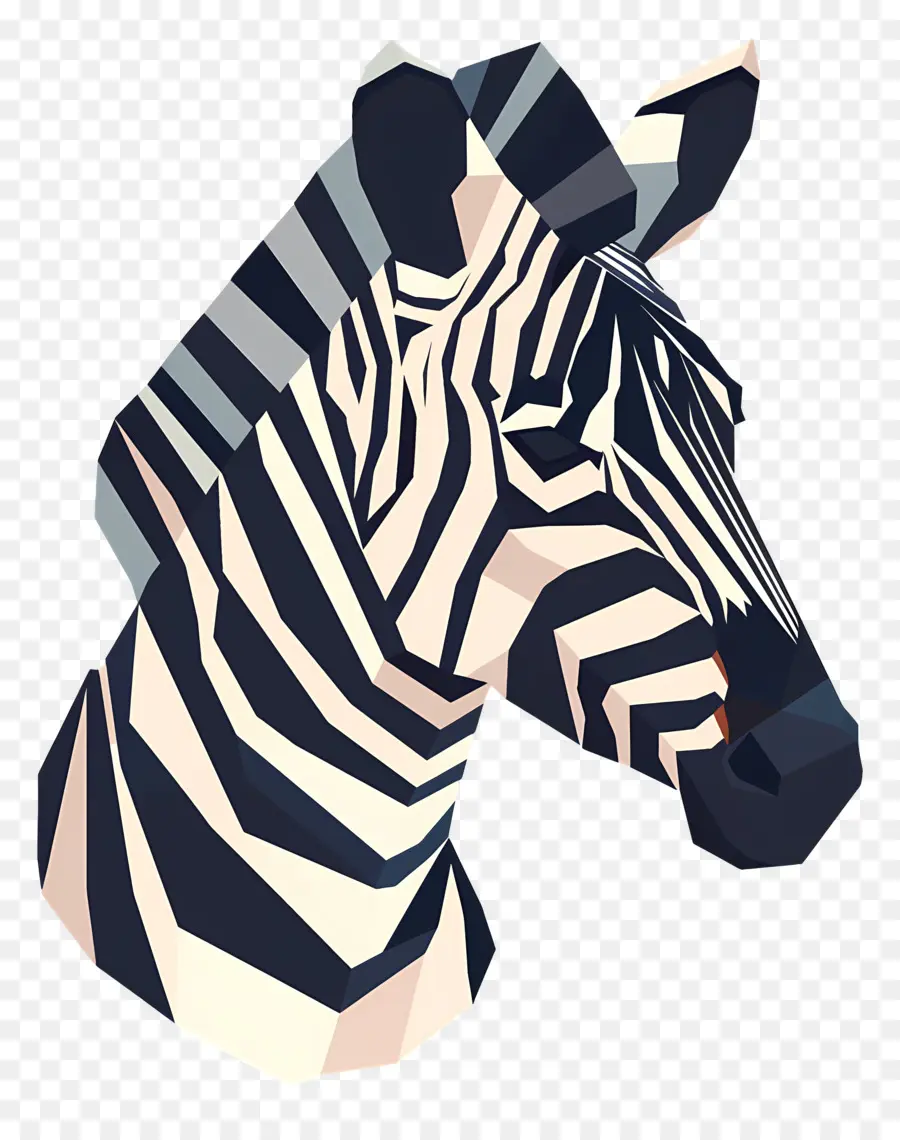 Zebra Kafası，Zebra PNG