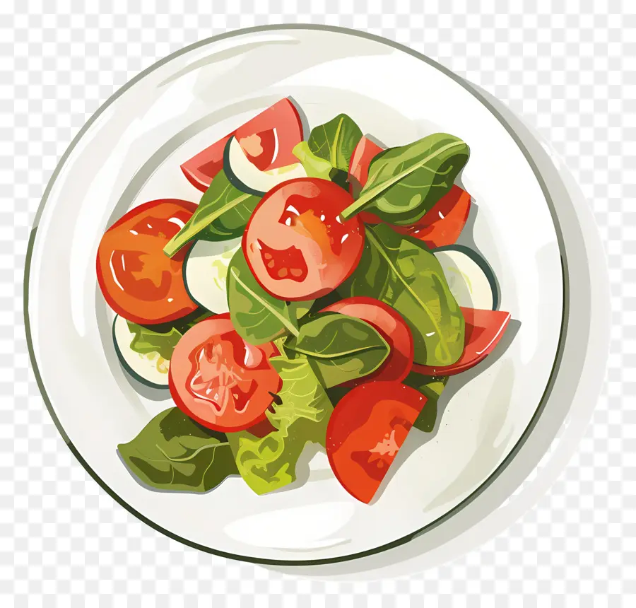 Salata，Basit Salata PNG