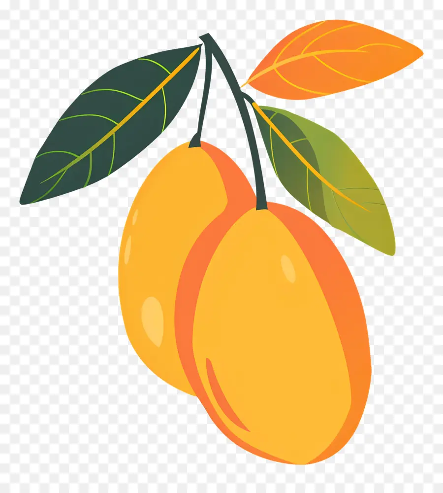 Mango，Sarı Armutlar PNG