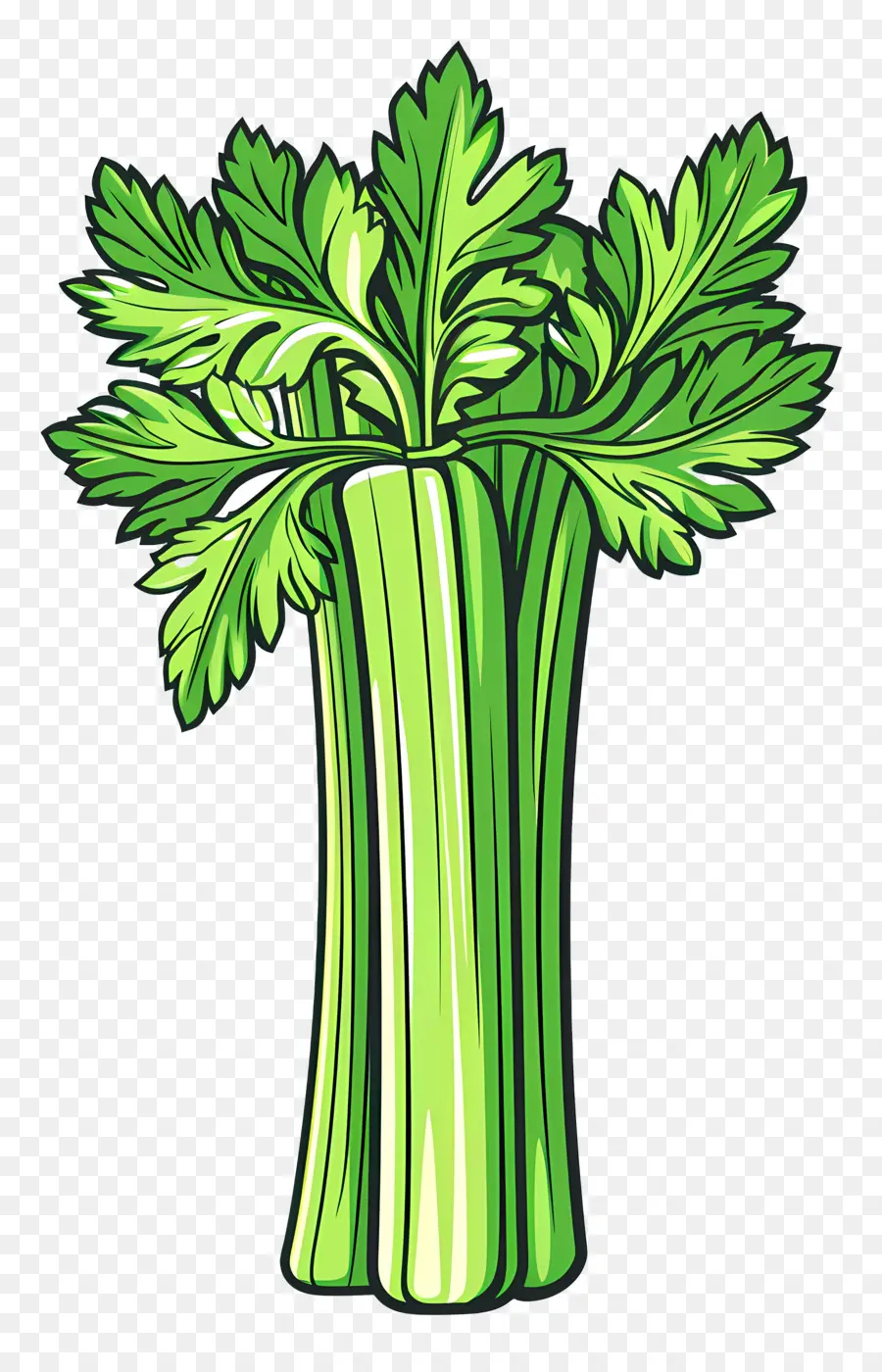 Kereviz，Brassica PNG