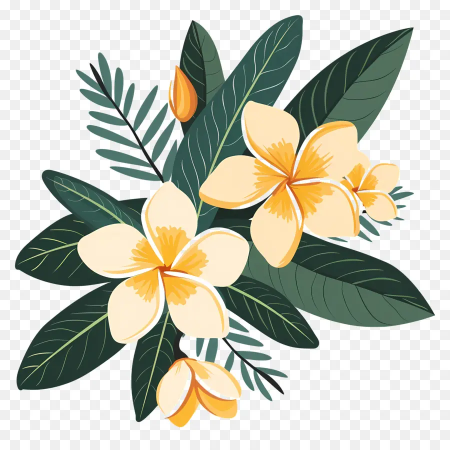 Plumeria，Sarı çiçek PNG