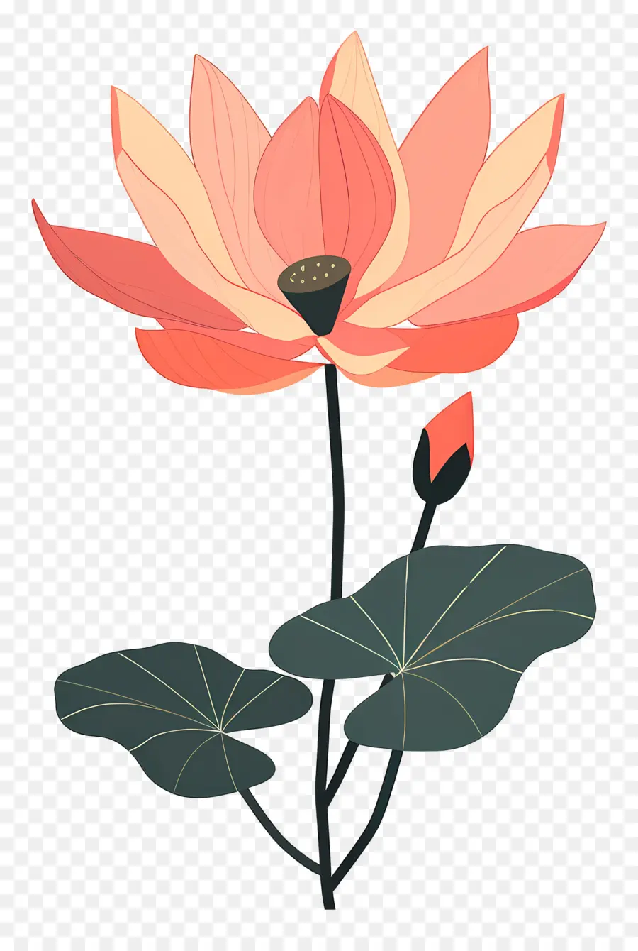 Lotus，Pembe çiçek PNG