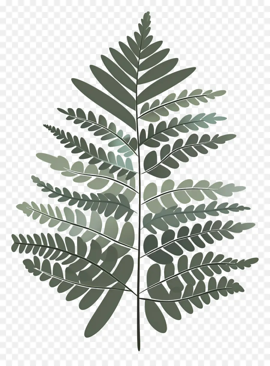 Fern Yaprak，Bitki PNG