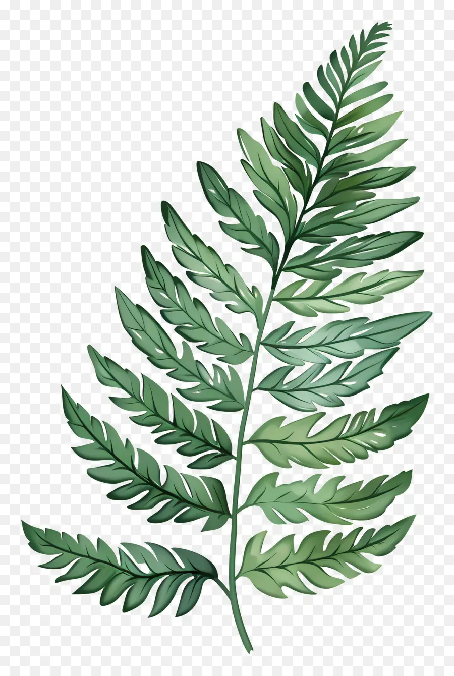 Fern Yaprak，Botanik PNG