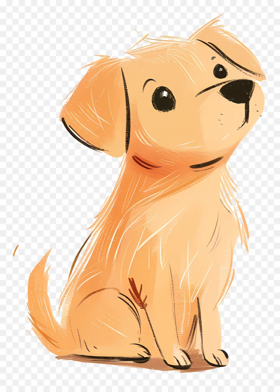 Doodle Köpek，Golden Retriever PNG