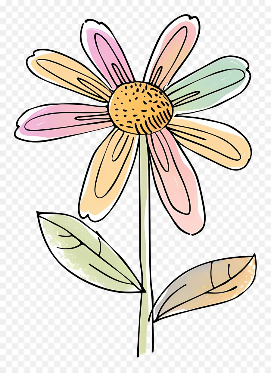 çiçek，Daisy çiçek PNG