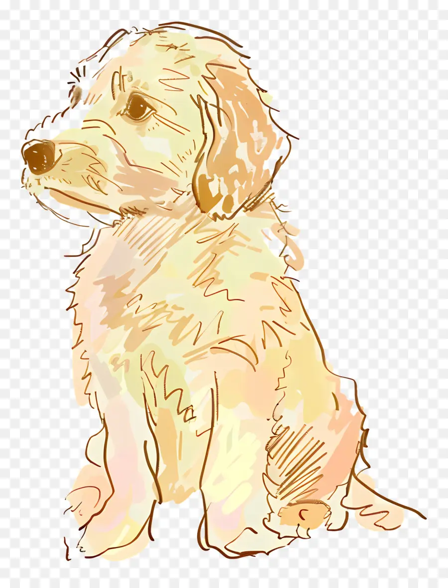 Doodle Köpek，Köpek Yavrusu PNG