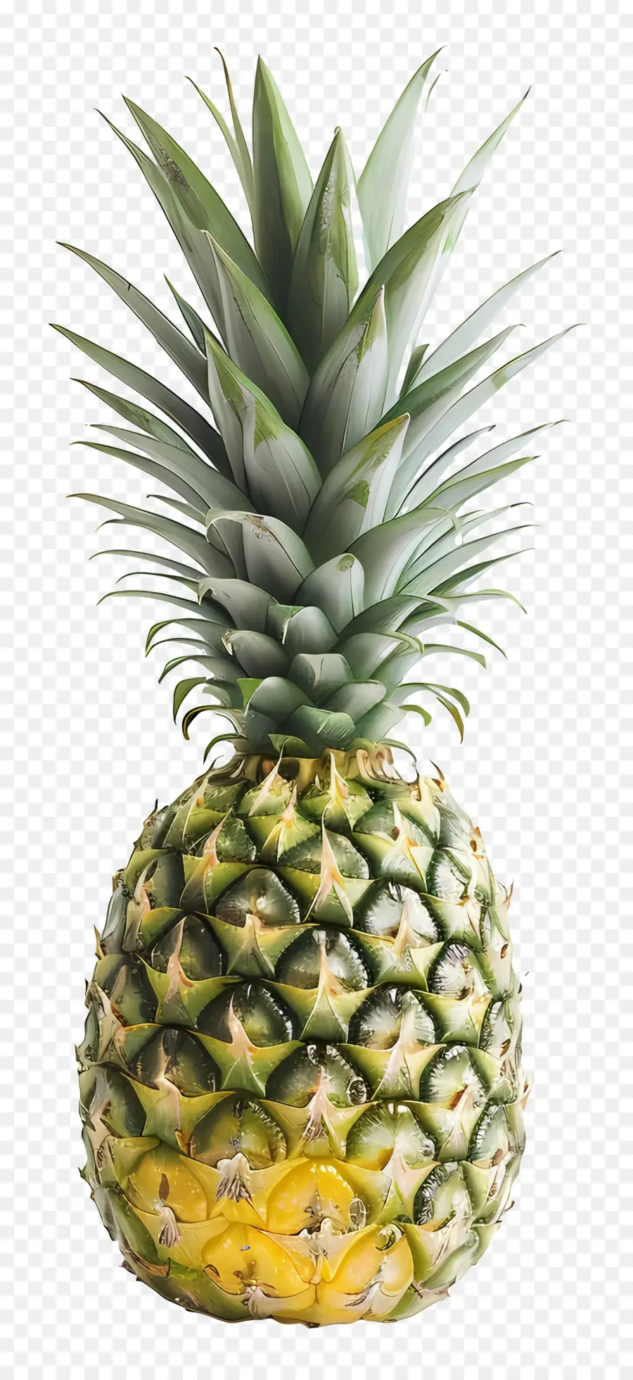 Ananas，Yapraklar PNG