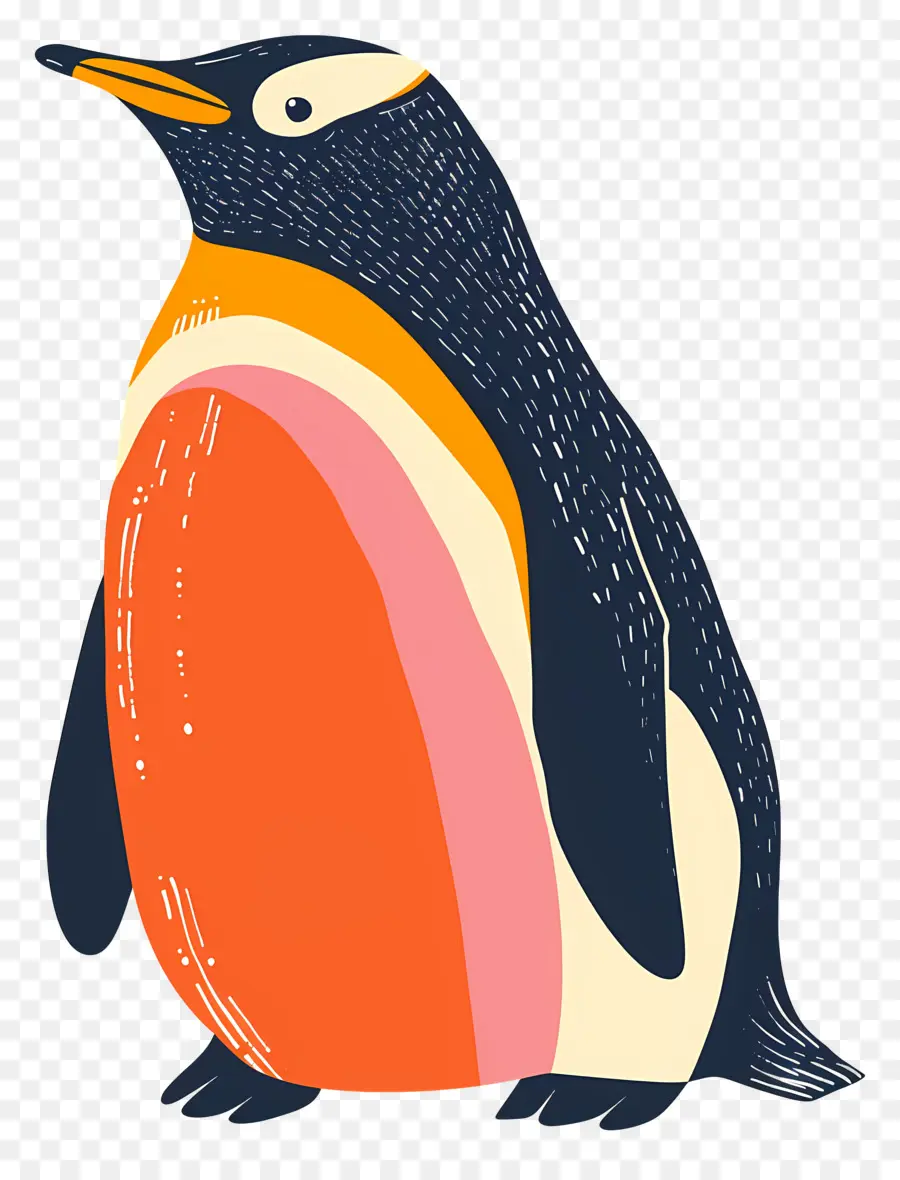 Karikatür Penguen，Penguen PNG