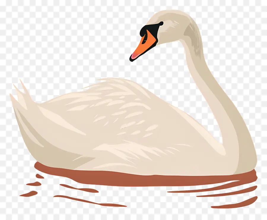 Swan Yüzme ，Kuğu PNG