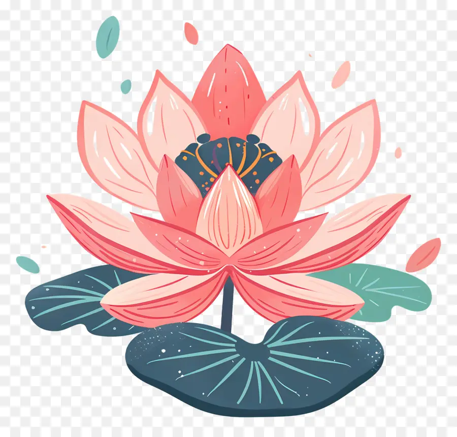 Lotus çiçeği，Pembe Lotus PNG