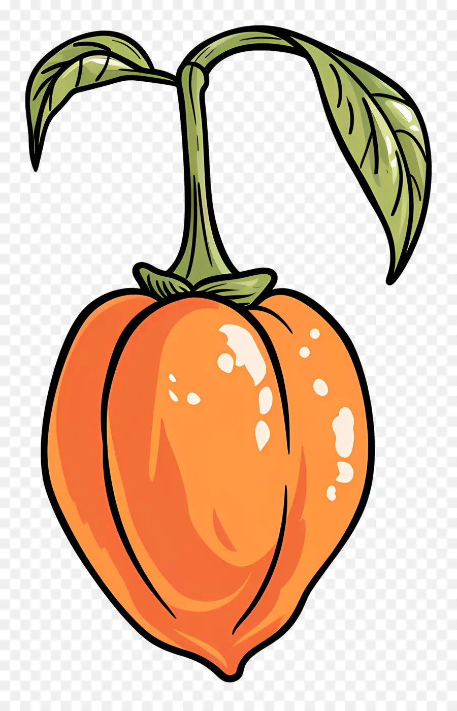 Habanero Biberi，Pembe Turuncu Meyve PNG