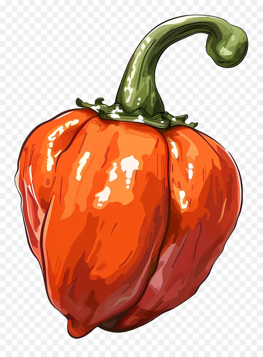 Habanero Biberi，Kırmızı Biber PNG