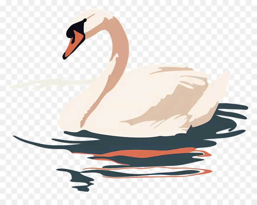 Swan Yüzme ，Kuğu PNG