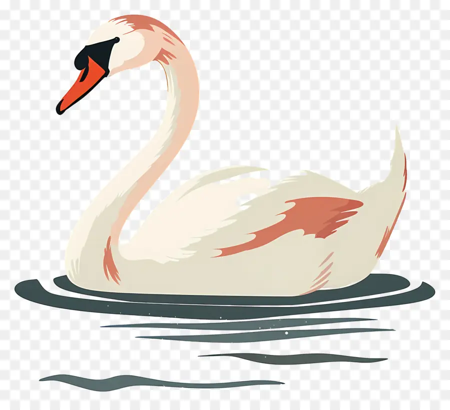 Swan Yüzme ，Kuğu PNG