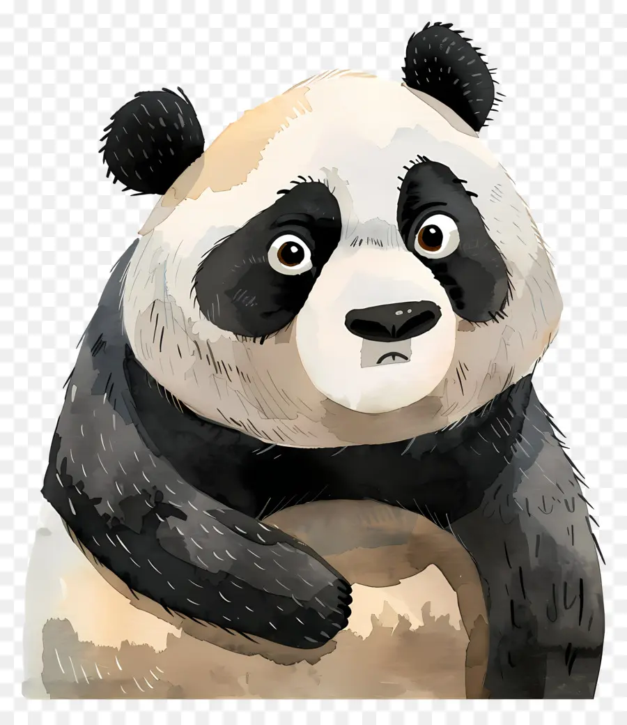 Karikatür Panda，Sevimli Panda PNG