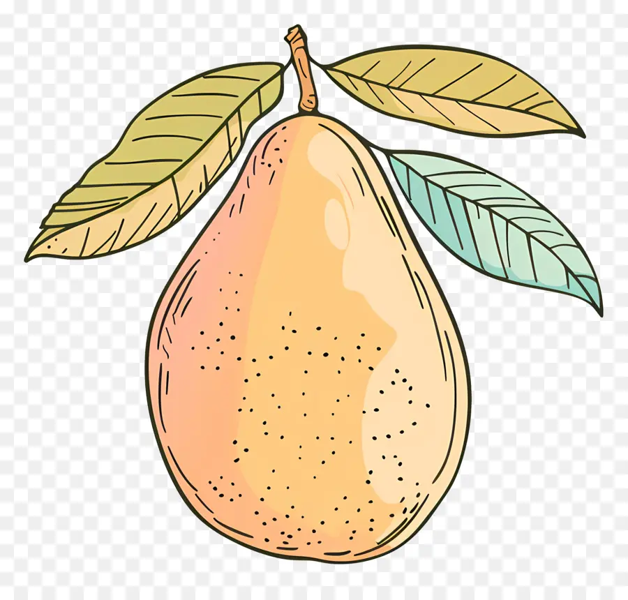 Doodle Mango，şeftali PNG