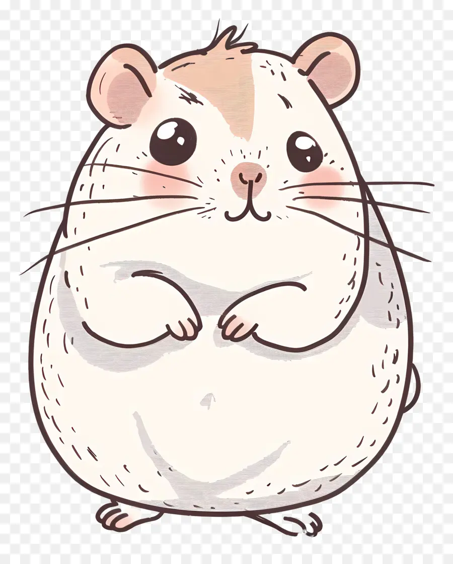 Hamster，Sevimli PNG