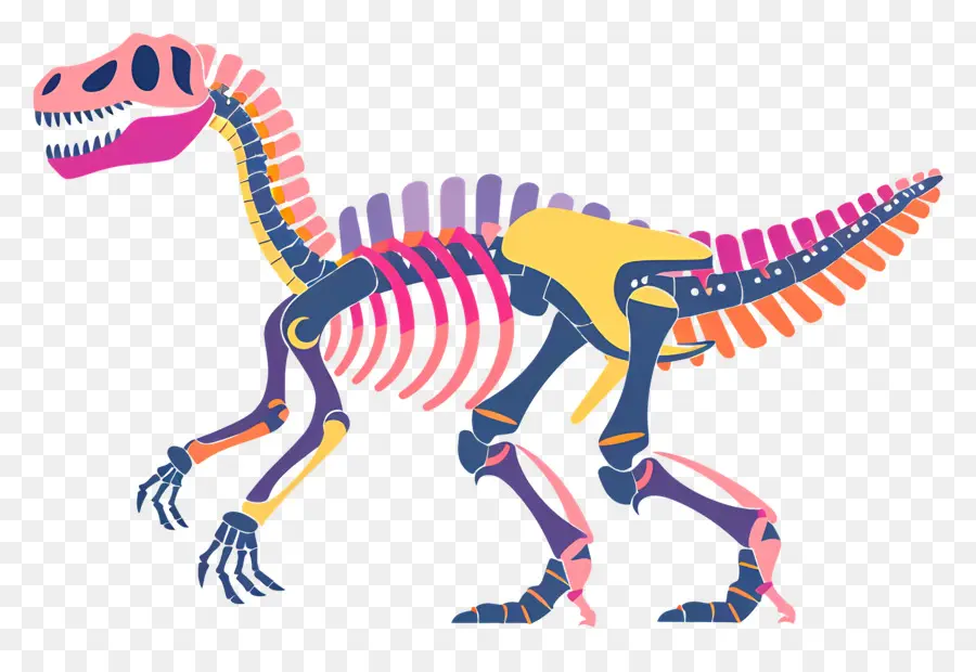 Dinozor Iskeleti，Dinozor İskeleti PNG