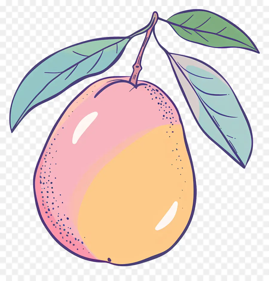 Karalama Mango，Mango PNG