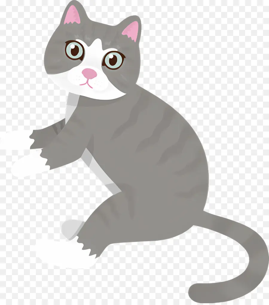 Karikatür Kedi，Kedi PNG