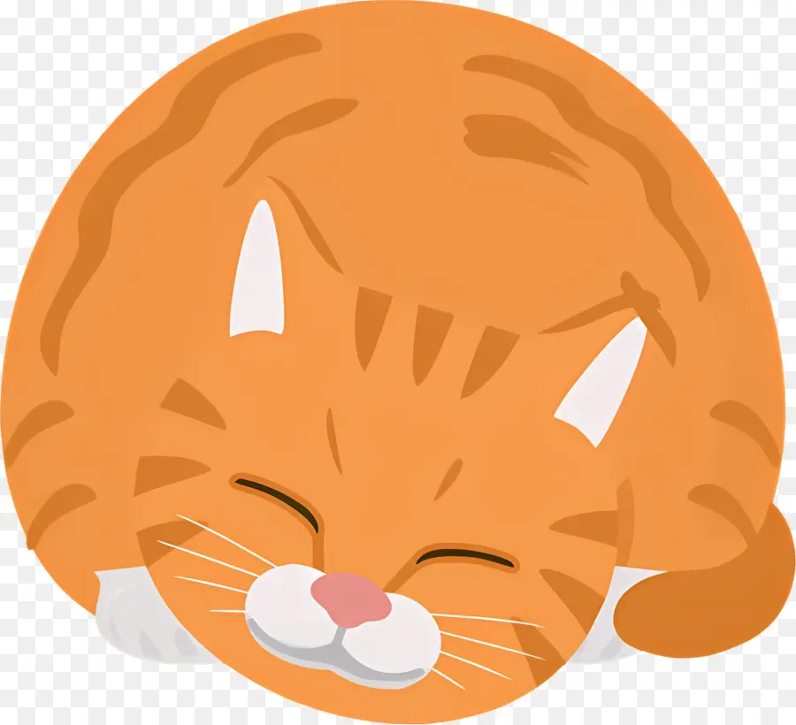 Karikatür Kedi，Kedi PNG