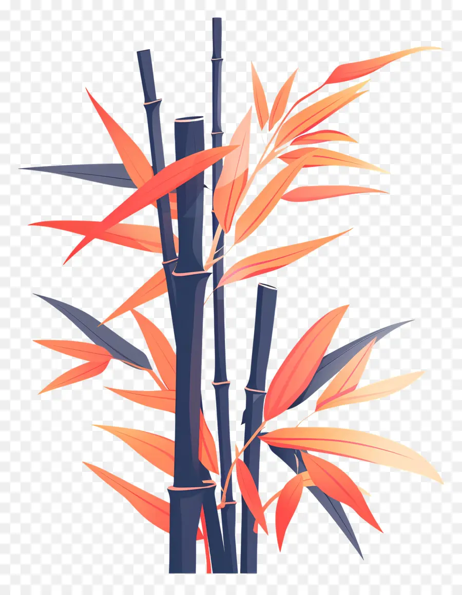 Bambu，Bambu Bitki PNG