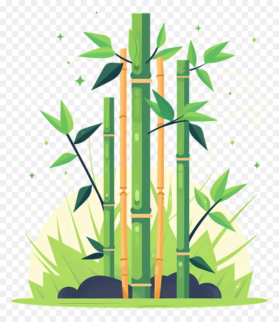 Bambu，Bambu Bitki PNG