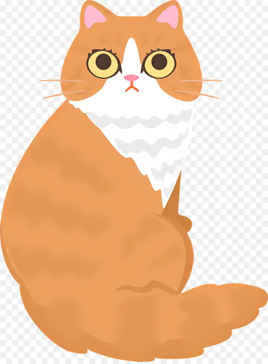 Karikatür Kedi，Kedi PNG