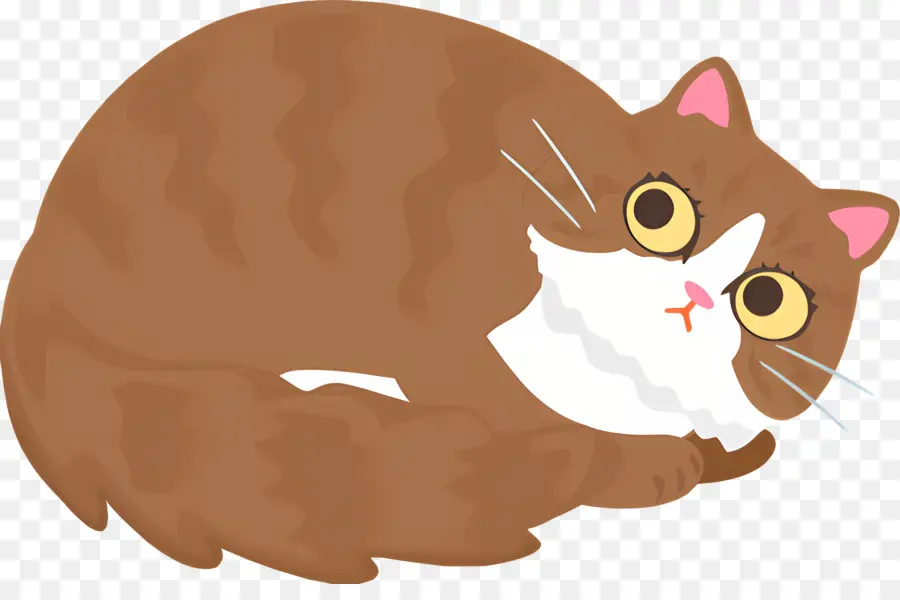 Karikatür Kedi，Kahverengi Korkmuş Kedi PNG