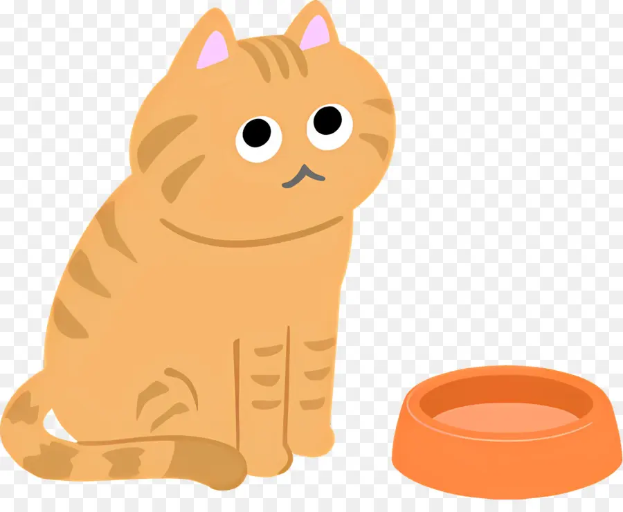 Karikatür Kedi，Kedi PNG