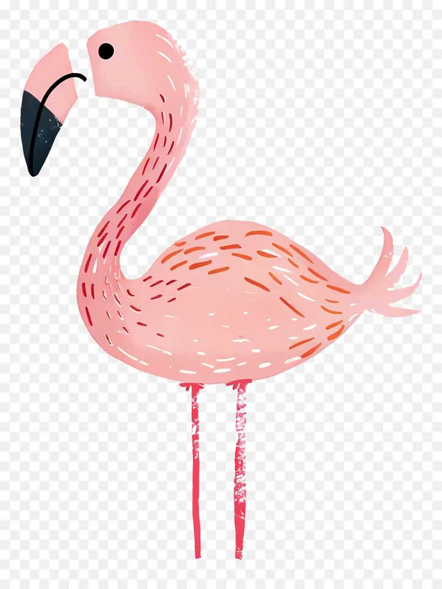 Flamingo，Pembe Flamingo PNG