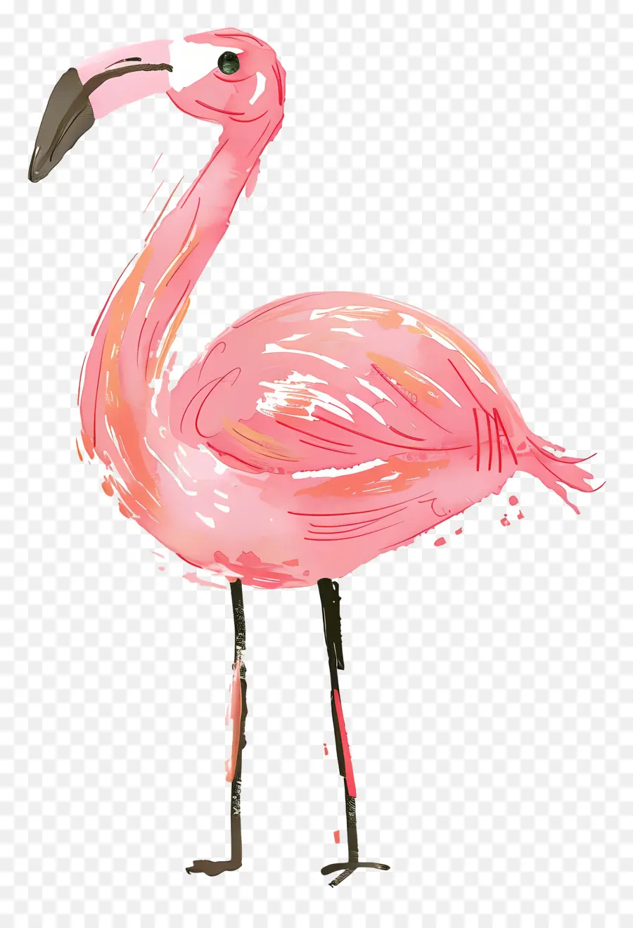 Flamingo，Pembe Flamingo PNG