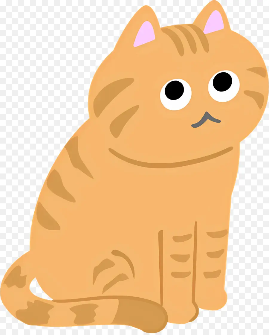 Karikatür Kedi，Kedi PNG