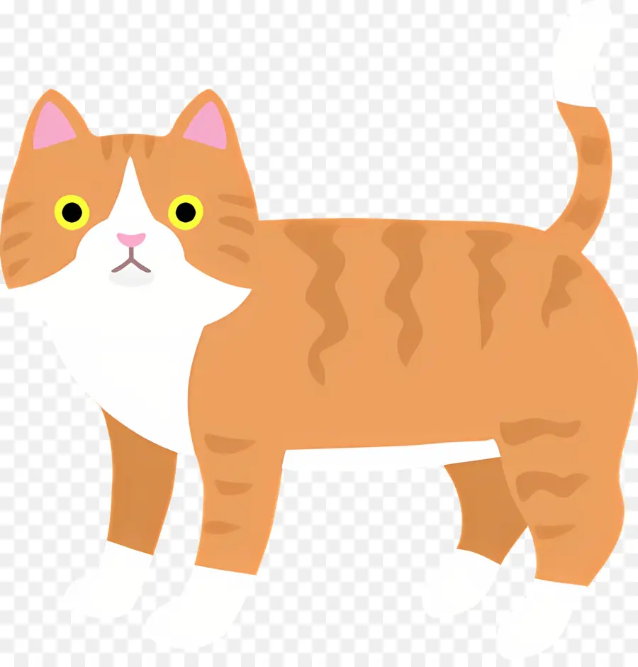 Karikatür Kedi，Kedi PNG